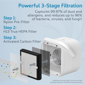pure-enrichment-purezone-duo-tisch-luftreiniger-mit-h13-true-hepa-3-stufen-filtr image 5