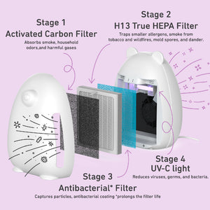 pure-enrichment-purezone-kids-bear-peairber-ersatzfilter-3-in-1-true-hepa image 5