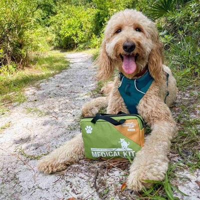adventure-medical-kits-adventure-dog-medical-kit-trail-dog-erste-hilfe-set-f-r-h image 3