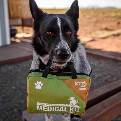 adventure-medical-kits-adventure-dog-medical-kit-trail-dog-erste-hilfe-set-f-r-h image 7